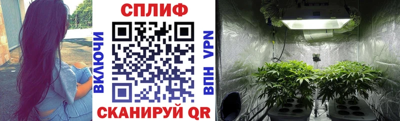 Купить закладку Тамбов Псилоцибиновые грибы  Мефедрон  Конопля  Cocaine  блэк спрут как зайти  Альфа ПВП 