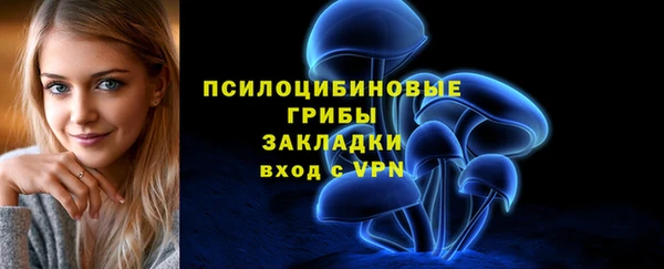 бутират Каменка
