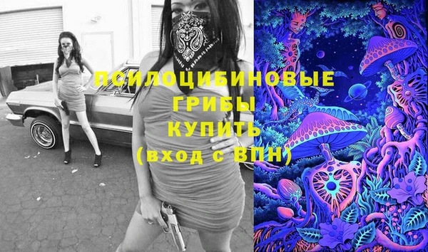 стаф Алексеевка