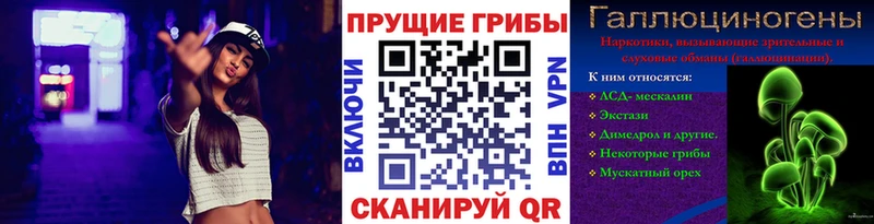 Псилоцибиновые грибы ЛСД Тамбов